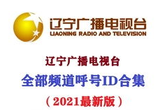 辽宁都市频道直播,聚焦民生、文旅发展、党员风采与粉丝互动