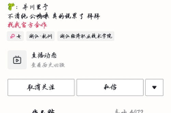网红吃瓜斗舞是谁,一场视觉盛宴的狂欢
