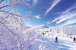 App：可将文本转化为语音梦幻之战-无限恶梦5怨灵咒无尽内丹2023及ElevenLabs推出Reader