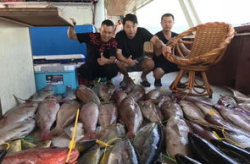 有鱼娱乐部,打造潮流娱乐新天地